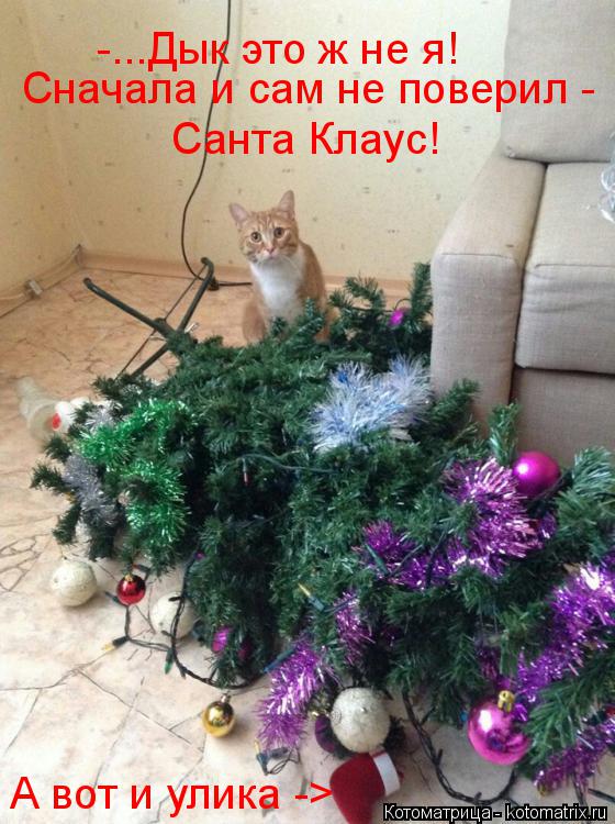 Котоматрица: Сначала и сам не поверил -  Санта Клаус! А вот и улика -> -...Дык это ж не я!