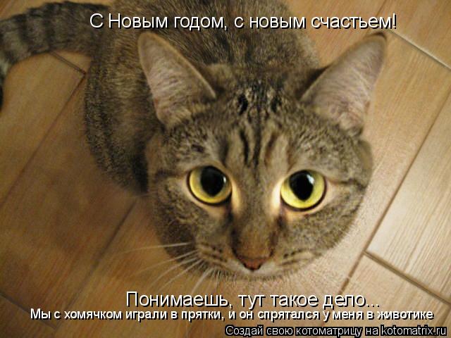 Котоматрица: С Новым годом, с новым счастьем! Понимаешь, тут такое дело... Мы с хомячком играли в прятки, и он спрятался у меня в животике