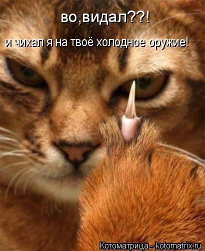 Котоматрица: во,видал??! и чихал я на твоё холодное оружие!