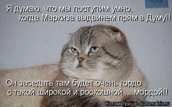 Котоматрица: Я думаю, что мы поступим умно, когда Маркиза выдвинем прям в Думу!! Он заседать там будет очень гордо с такой широкой и роскошной ... мордой!!