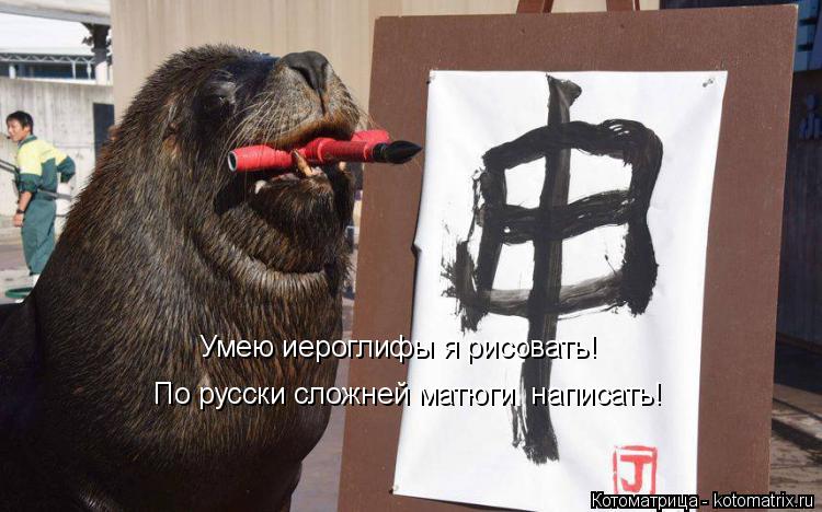 Котоматрица: Умею иероглифы я рисовать! По русски сложней матюги  написать!