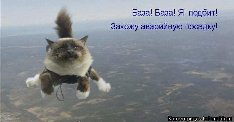 Захожу аварийную посадку! База! База! Я подбит!... Котоматрица: Захожу аварийную посадку! База! База! Я подбит!