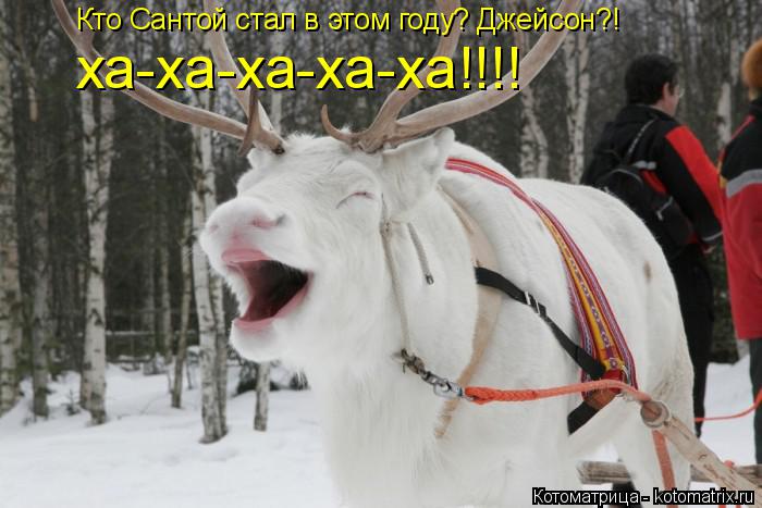 Котоматрица: Кто Сантой стал в этом году? Джейсон?! ха-ха-ха-ха-ха!!!!