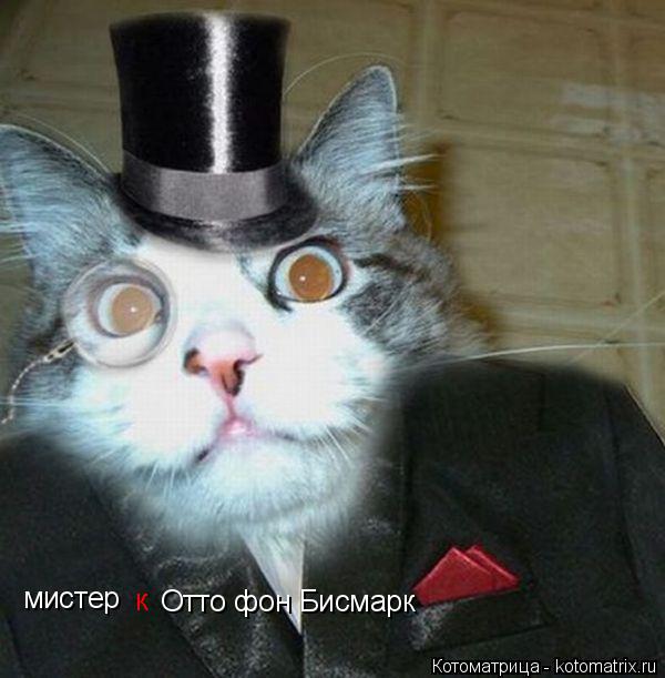 мистер к Отто фон Бисмарк... Котоматрица: мистер к Отто фон Бисмарк