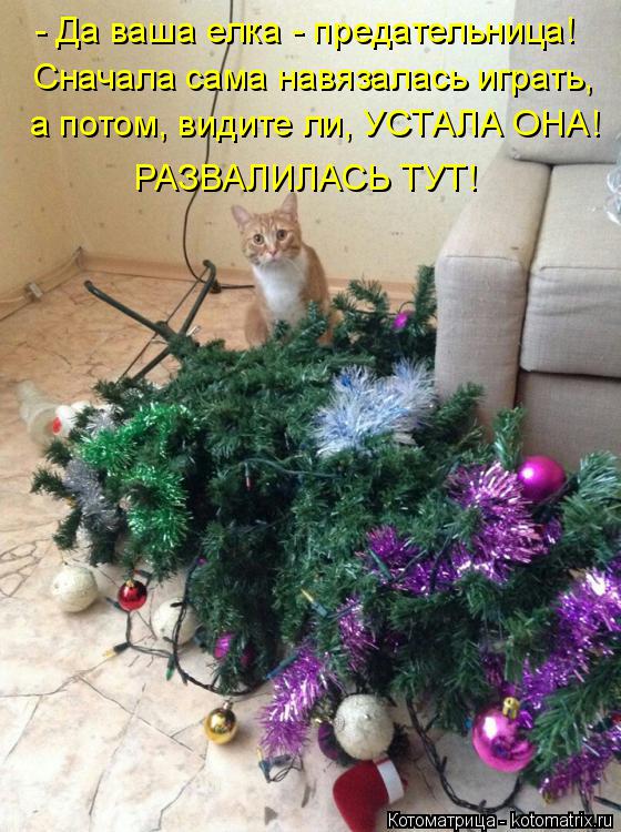 - Да ваша елка - предательница! Сначала сама навязалась играть, а потом, видите ли, УСТАЛА ОНА! РАЗВА... Котоматрица: - Да ваша елка - предательница! Сначала сама навязалась играть, а потом, видите ли, УСТАЛА ОНА! РАЗВАЛИЛАСЬ ТУТ!