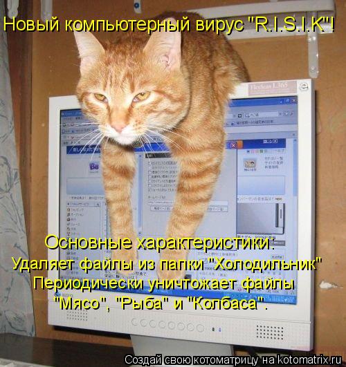Котоматрица: Новый компьютерный вирус "R.I.S.I.K"! Основные характеристики:  Удаляет файлы из папки "Холодильник" Периодически уничтожает файлы "Мясо", "Рыба" 