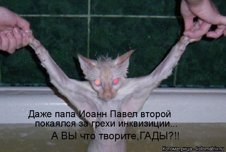 Даже папа Иоанн Павел второй покаялся за грехи инквизиции... А ВЫ что творите,ГАДЫ?!!... Котоматрица: Даже папа Иоанн Павел второй покаялся за грехи инквизиции... А ВЫ что творите,ГАДЫ?!!