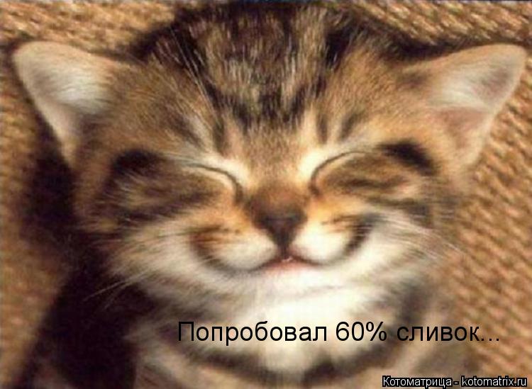 Попробовал 60% сливок...... Котоматрица: Попробовал 60% сливок...