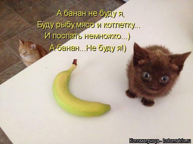 А банан не буду я, Буду рыбу,мясо и котлетку... И поспать немножко...) А банан...Не буду я!)... Котоматрица: А банан не буду я, Буду рыбу,мясо и котлетку... И поспать немножко...) А банан...Не буду я!)