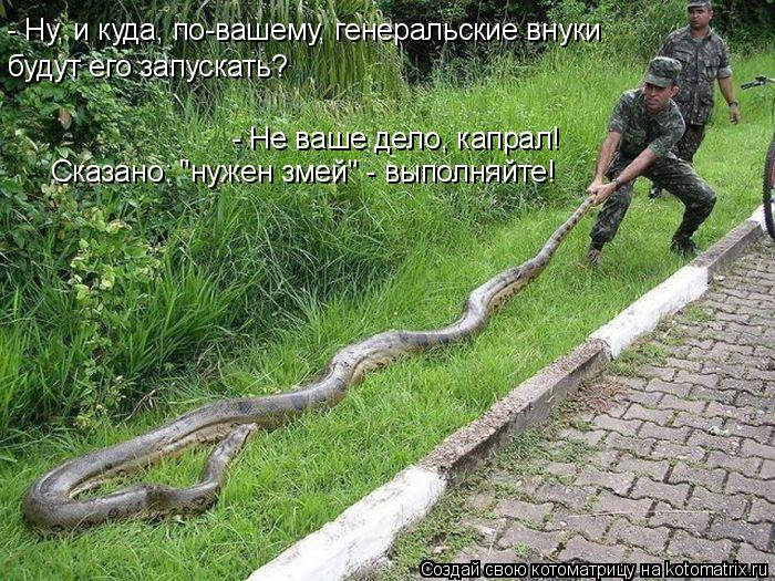 Котоматрица: - Ну, и куда, по-вашему, генеральские внуки  будут его запускать? - Не ваше дело, капрал!  Сказано: "нужен змей" - выполняйте!