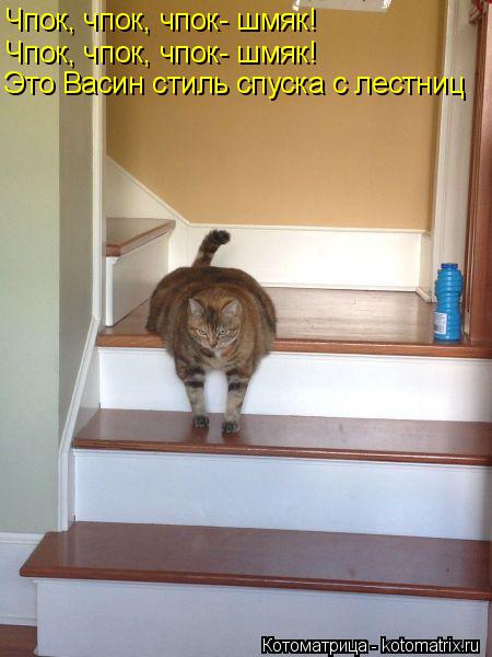 Котоматрица: Чпок, чпок, чпок- шмяк! Чпок, чпок, чпок- шмяк! Это Васин стиль спуска с лестниц