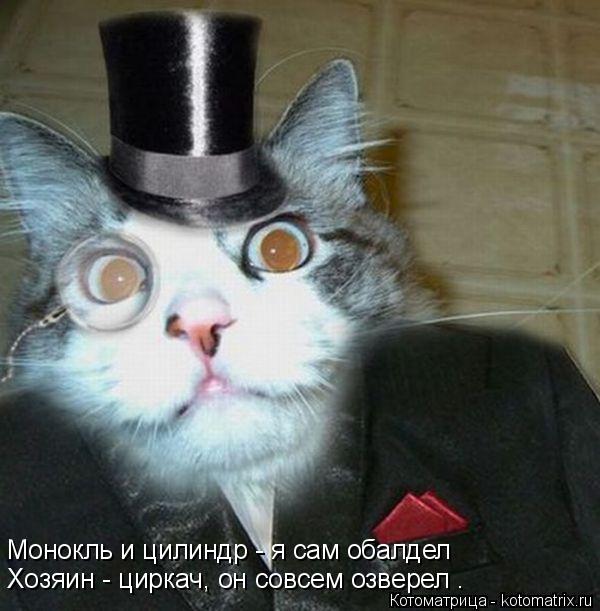 Монокль и цилиндр - я сам обалдел Хозяин - циркач, он совсем озверел .... Котоматрица: Монокль и цилиндр - я сам обалдел Хозяин - циркач, он совсем озверел .