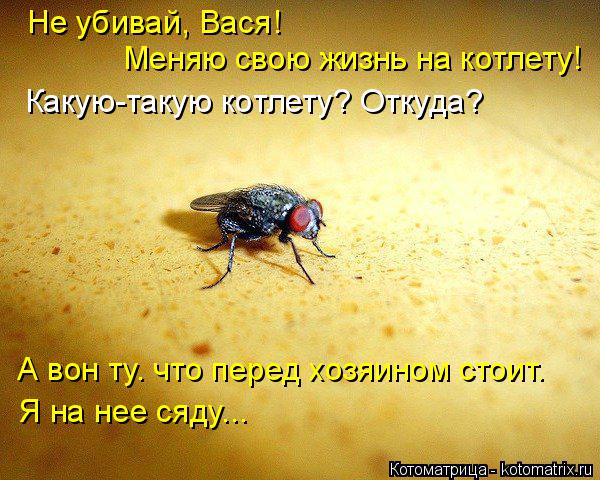 Не убивай, Вася! Меняю свою жизнь на котлету! Какую-такую котлету? Откуда? А вон ту. что перед хозяи... Котоматрица: Не убивай, Вася! Меняю свою жизнь на котлету! Какую-такую котлету? Откуда? А вон ту. что перед хозяином стоит. Я на нее сяду...