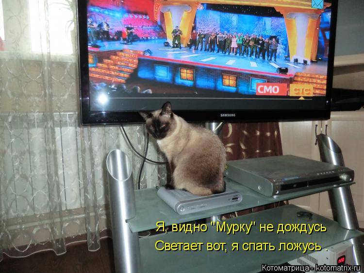 Я, видно "Мурку" не дождусь Светает вот, я спать ложусь .... Котоматрица: Я, видно "Мурку" не дождусь Светает вот, я спать ложусь .
