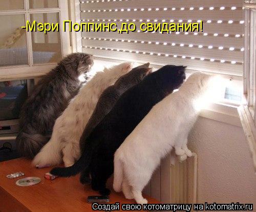 Котоматрица: -Мэри Поппинс,до свидания!