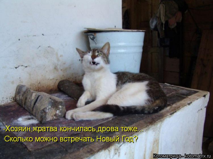 -Хозяин,жратва кончилась,дрова тоже... Сколько можно встречать Новый Год?... Котоматрица: -Хозяин,жратва кончилась,дрова тоже... Сколько можно встречать Новый Год?