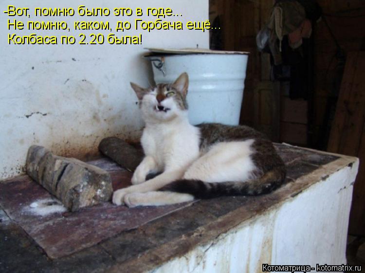 -Вот, помню было это в годе... Не помню, каком, до Горбача ещё... Колбаса по 2.20 была!... Котоматрица: -Вот, помню было это в годе... Не помню, каком, до Горбача ещё... Колбаса по 2.20 была!