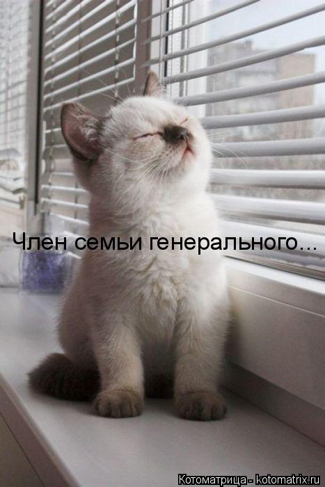 Член семьи генерального...... Котоматрица: Член семьи генерального...