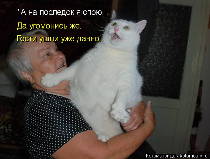 Котоматрица: "А на последок я спою... Да угомонись же. Гости ушли уже давно.