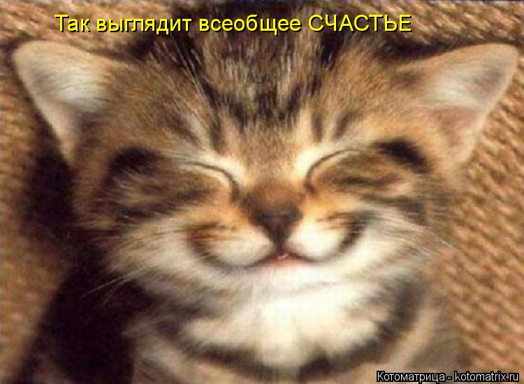 Так выглядит всеобщее СЧАСТЬЕ... Котоматрица: Так выглядит всеобщее СЧАСТЬЕ