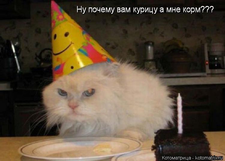 Ну почему вам курицу а мне корм??? Ну почему вам курицу а мне корм???... Котоматрица: Ну почему вам курицу а мне корм??? Ну почему вам курицу а мне корм???
