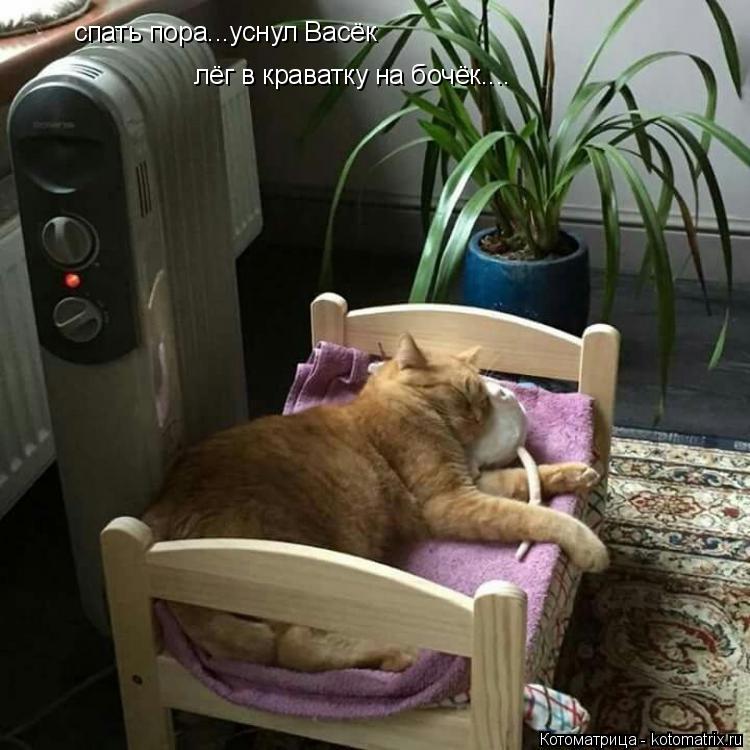 спать пора...уснул Васёк лёг в краватку на бочёк....... Котоматрица: спать пора...уснул Васёк лёг в краватку на бочёк....
