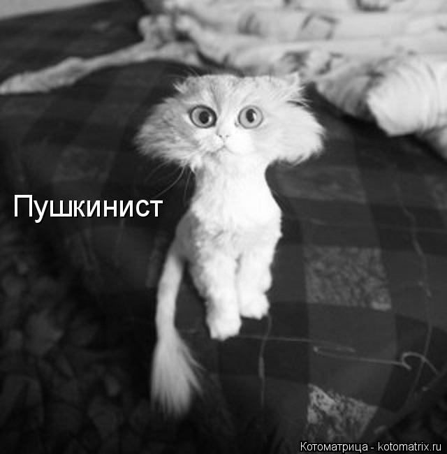 Пушкинист... Котоматрица: Пушкинист