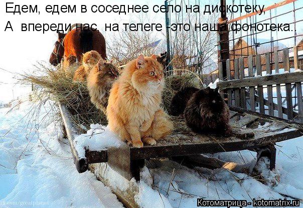 А впереди нас, на телеге -это наша фонотека.. Едем, едем в соседнее село на дискотеку,... Котоматрица: А впереди нас, на телеге -это наша фонотека.. Едем, едем в соседнее село на дискотеку,