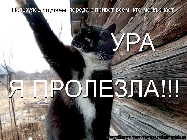 Пользуясь случаем, передаю привет всем, кто меня знает: УРА Я ПРОЛЕЗЛА!!!... Котоматрица: Пользуясь случаем, передаю привет всем, кто меня знает: УРА Я ПРОЛЕЗЛА!!!
