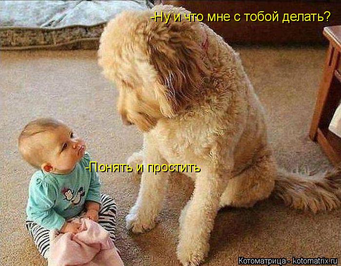 -Ну и что мне с тобой делать? -Понять и простить... Котоматрица: -Ну и что мне с тобой делать? -Понять и простить