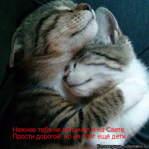 Нежнее тебя не встречал я на Свете Прости дорогой, но не спят ещё дети ...... Котоматрица: Нежнее тебя не встречал я на Свете Прости дорогой, но не спят ещё дети ...