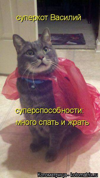 суперкот Василий суперспособности: много спать и жрать... Котоматрица: суперкот Василий суперспособности: много спать и жрать