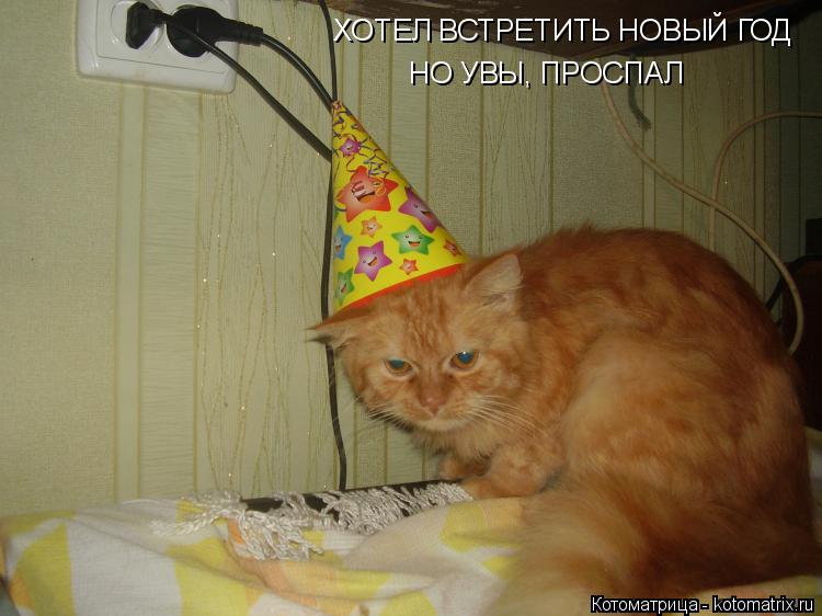 ХОТЕЛ ВСТРЕТИТЬ НОВЫЙ ГОД ХОТЕЛ ВСТРЕТИТЬ НОВЫЙ ГОД НО УВЫ, ПРОСПАЛ НО УВЫ, ПРОСПАЛ... Котоматрица: ХОТЕЛ ВСТРЕТИТЬ НОВЫЙ ГОД ХОТЕЛ ВСТРЕТИТЬ НОВЫЙ ГОД НО УВЫ, ПРОСПАЛ НО УВЫ, ПРОСПАЛ