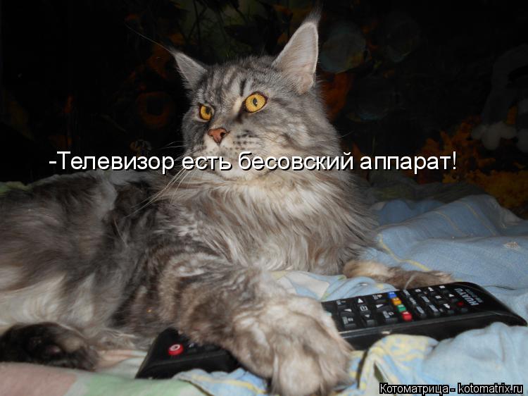 Котоматрица: -Телевизор есть бесовский аппарат!
