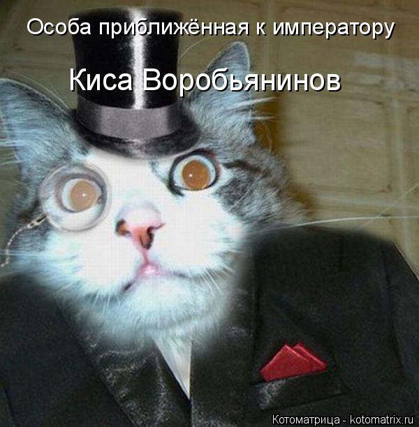 Котоматрица: Особа приближённая к императору Киса Воробьянинов