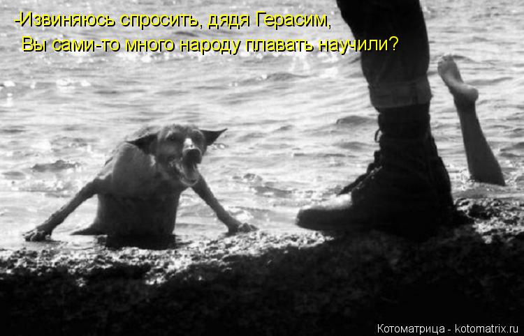 Котоматрица: -Извиняюсь спросить, дядя Герасим,  Вы сами-то много народу плавать научили?