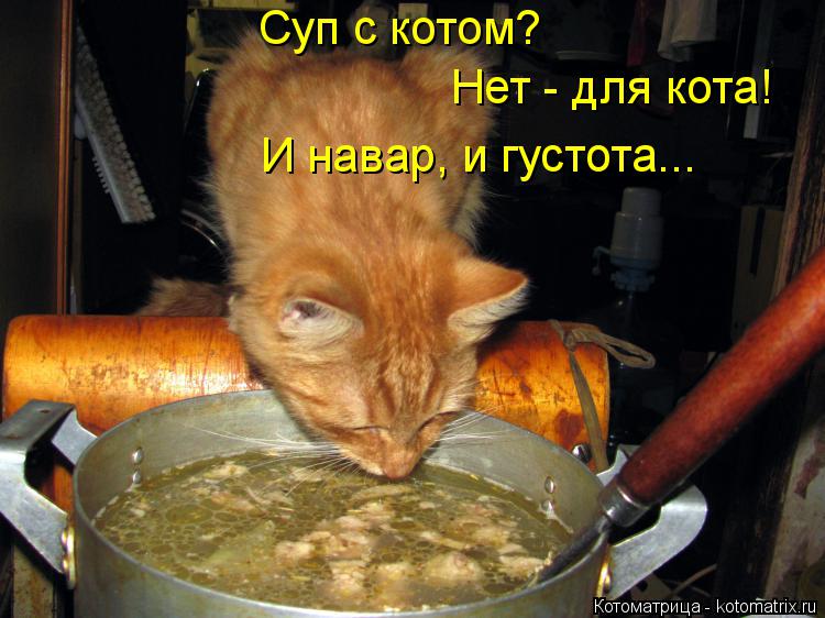 Котоматрица: Суп с котом? Нет - для кота! И навар, и густота...