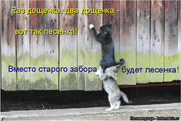 Раз дощечка, два дощечка - вот так песенка! Вместо старого забора будет лесенка!... Котоматрица: Раз дощечка, два дощечка - вот так песенка! Вместо старого забора будет лесенка!