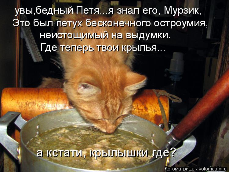 увы,бедный Петя...я знал его, Мурзик, Это был петух бесконечного остроумия, неистощимый на выдумки... Котоматрица: увы,бедный Петя...я знал его, Мурзик, Это был петух бесконечного остроумия, неистощимый на выдумки. Где теперь твои крылья... а кстати, кры