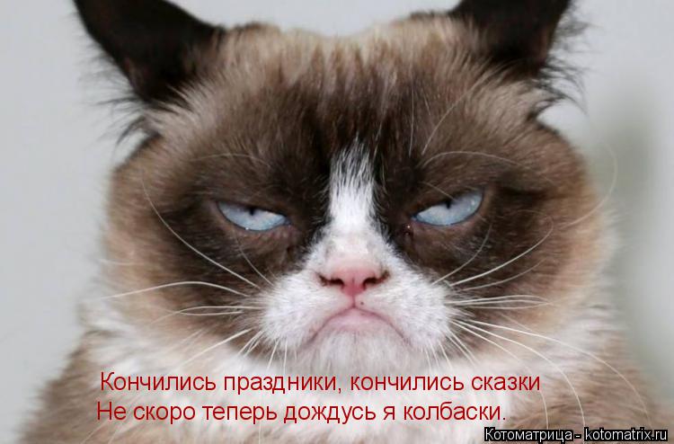 Котоматрица: Кончились праздники, кончились сказки Не скоро теперь дождусь я колбаски.