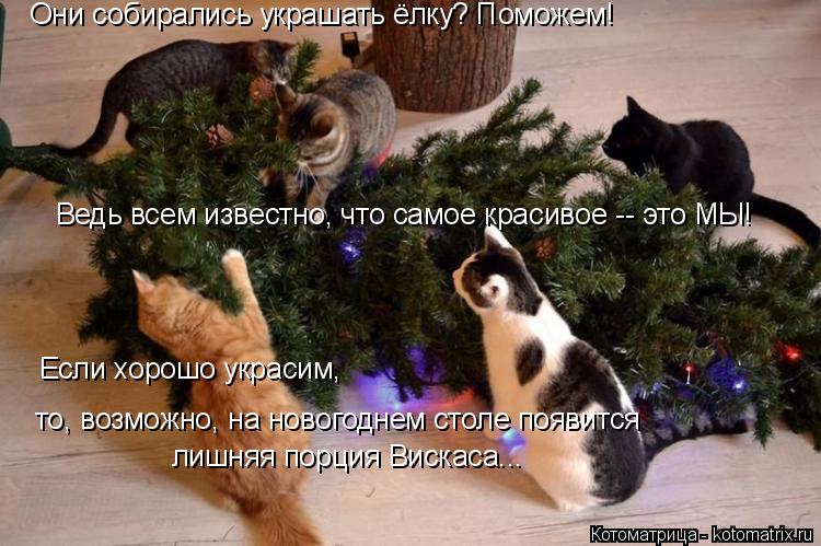 Они собирались украшать ёлку? Поможем! Ведь всем известно, что самое красивое -- это МЫ! Если хорошо ... Котоматрица: Они собирались украшать ёлку? Поможем! Ведь всем известно, что самое красивое -- это МЫ! Если хорошо украсим, то, возможно, на новогоднем стол