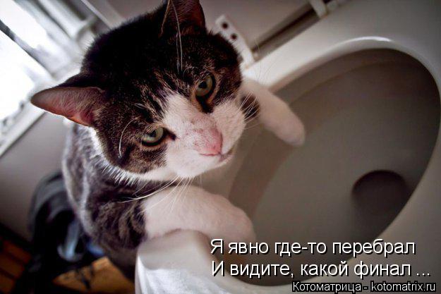Котоматрица: Я явно где-то перебрал И видите, какой финал ...