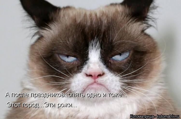 Котоматрица: А после праздников..опять одно и тоже... Этот город...Эти рожи...