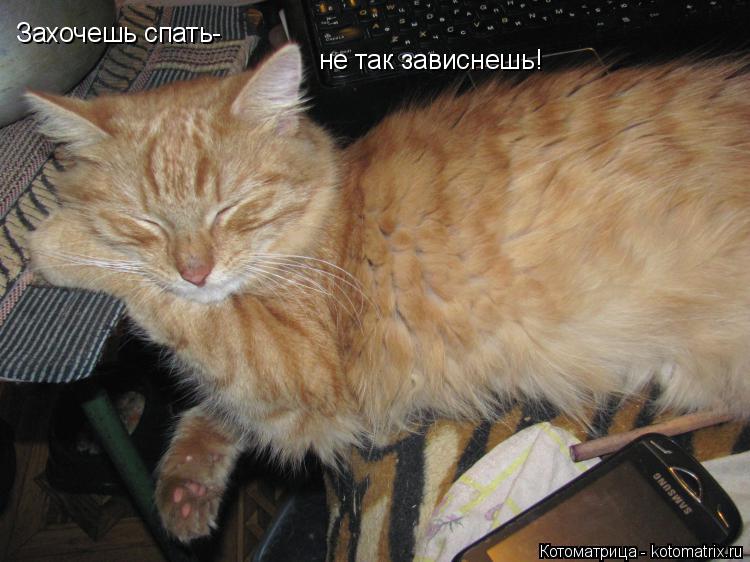Котоматрица: Захочешь спать- не так зависнешь!