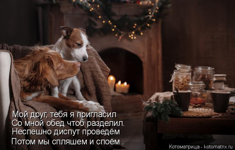 Котоматрица: Мой друг, тебя я пригласил Со мной обед чтоб разделил. Неспешно диспут проведём Потом мы спляшем и споём .