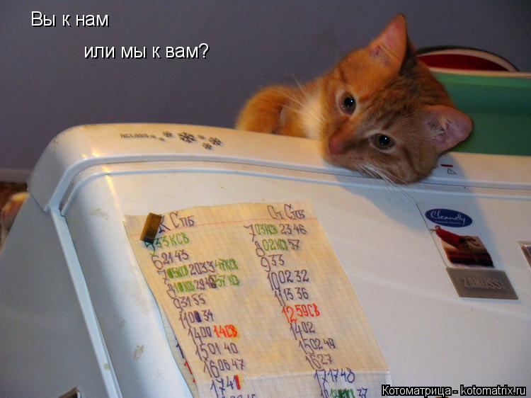 Котоматрица: Вы к нам или мы к вам?