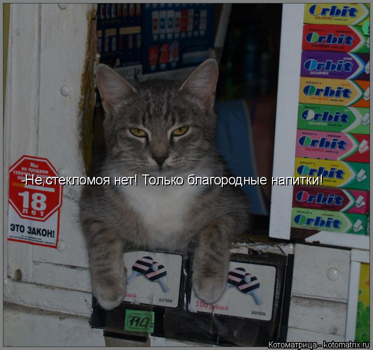 Котоматрица: -Не,стекломоя нет! Только благородные напитки!