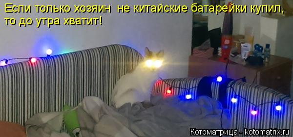 Котоматрица: Если только хозяин  не китайские батарейки купил, то до утра хватит!
