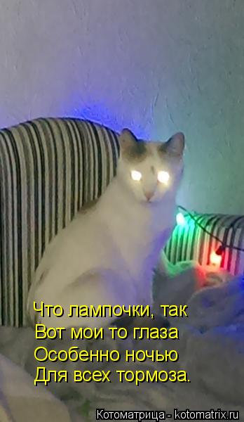 Котоматрица: Что лампочки, так Вот мои то глаза Особенно ночью Для всех тормоза.