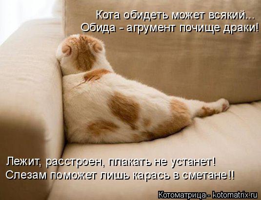 Котоматрица: Кота обидеть может всякий... Обида - агрумент почище драки! Лежит, расстроен, плакать не устанет! Слезам поможет лишь карась в сметане!!